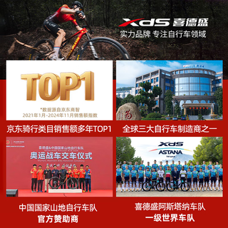 喜德盛（xds）W5折叠车20寸油压碟刹铝合金自行车6速单车超轻便携成人男女式 20寸岩石蓝 身高155~180