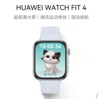 华为 HUAWEI WATCH FIT 4 智能手表 43mm 冰晶蓝氟橡胶表带