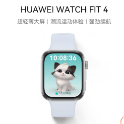 华为 HUAWEI WATCH FIT 4 智能手表 43mm 冰晶蓝氟橡胶表带