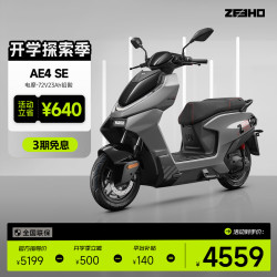 极核 ZEEHO 高性能电摩电动摩托车AE4长续航代步电动车 AE4 SE铅酸72V23AH