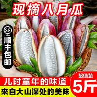 采缇 CAITI）新鲜八月瓜水果新鲜八月炸5斤当季野香蕉甜香瓜预知子孕妇整箱 精选一斤装 中果尝鲜装