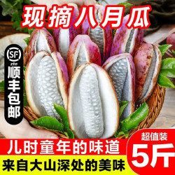 采缇 CAITI）新鲜八月瓜水果新鲜八月炸5斤当季野香蕉甜香瓜预知子孕妇整箱 精选一斤装 中果尝鲜装