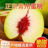 牛鱼 山东脆蜜桃 5斤 单果100g-120g