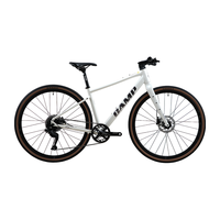 CAMP/坎普 9速变速 公路自行车 油碟 禧玛诺变速  珍珠白 425码
