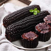 移动端：一支鲜 东北黑糯玉米甜玉米真空包装新鲜现摘甜粘苞米低脂早餐10棒