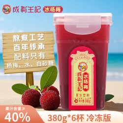 成有王记 冰杨梅 380ml*6瓶