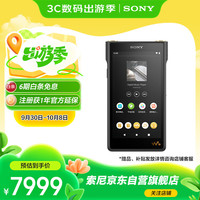 索尼 SONY NW-WM1AM2 音频播放器 128GB 黑砖（3.5单端、4.4平衡）