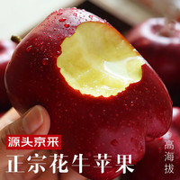 花牛 天水花牛苹果 TIANSHUI HUANIU APPLE 当季现摘粉面红苹果 新鲜水果整箱  宝宝辅食  蛇果 5斤装（净果4.5-5斤）优选果