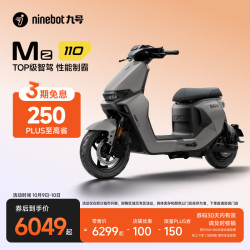 九号 Mz 110 电动自行车 智能智驾 长续航新国标可上牌  到门店选颜色