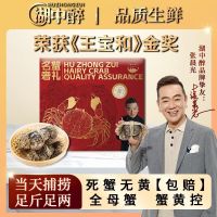 移动端、京东百亿补贴：京东超市 海外直采谷饲牛肉饼1.2kg（10片装）