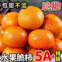 果恋多 脆柿子新鲜水果9当季整箱包邮火晶黄硬皮特产10巧克力甜柿大果5