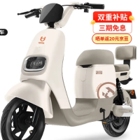 移动端、京东百亿补贴：宝岛电动车 BODO 电动自行车N18锂电48V24Ah星恒锂电长续航80km豪华外观代步首选 暖咖色