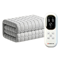 志高（CHIGO）水暖毯电热毯双人智能双温双控水循环电褥子单人防漏电全套加厚 【定时除螨】1.2*1.8米丨升级加厚棉