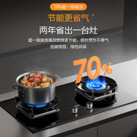 海尔 [旗舰顶配]海尔超密猛火燃气灶厨房家用台式嵌入双灶台灶具H70A