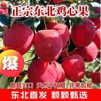 鲜姿 鸡心果净重4斤装实惠装