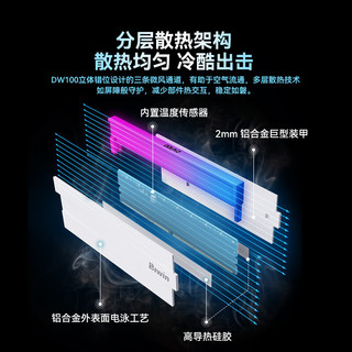 佰维（BIWIN）DDR5 6000 (C28) 频率台式机内存条炫光星舰RGB灯条海力士颗粒 DW100 DDR5 6000/C30 黑色 32GB 2条套条 （16*2）