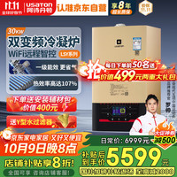 阿诗丹顿 一级能效双变频壁挂炉天然气供暖地暖燃气