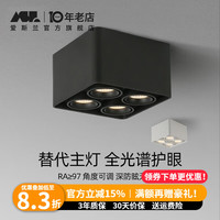 爱斯兰 明装筒灯 四头斗胆灯 36W 砂岩黑 调光调色