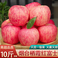 优农山东栖霞红富士苹果水果新鲜当季脆甜红苹果特产整箱 带箱9.5-10斤大果【精选装】