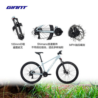 捷安特（GIANT）26款ATX 810铝合金筒轴油压碟刹可锁定避震成人山地自行车 全消光水泥灰 29×19 L 180-192cm