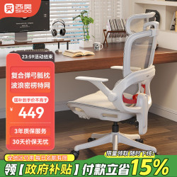 西昊 分区承托 人体工学椅  B100Lite云白 无脚踏 分区承托