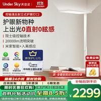 天空见 Under Sky 大路灯护眼灯落地灯台灯 控轴立式护眼灯C2