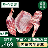 鲜羊官 内蒙呼伦贝尔羊肉草饲半只羔羊9.5斤分割白条羊羊排羊腿生鲜清真 9.5斤（羊整排+羊前腿+后羊腿）