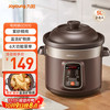 九阳 DG50Z-GD510 电炖锅 5L