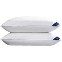 希尔顿家居 希尔顿好睡枕pro 抗菌成人护颈家用纤维枕头芯 48*74cm 高枕