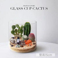 绿荫巷子 仙人掌微景观盆栽沙漠山丘趣味摆件植物盆景多肉花卉桌面绿植 沙漠之洲-需简单