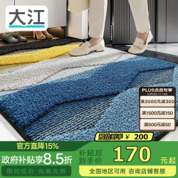 大江 地垫入户门地垫门口地毯入户门脚垫进户门100x120cm 阿尔卑斯100X120cm