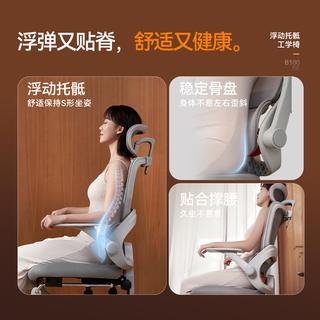  SIHOO/西昊 人体工学椅 弹弓骶枕  B100Se云白 无脚踏 弹弓骶枕