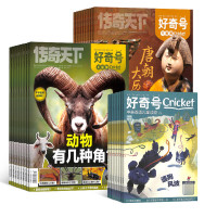 《好奇号》(2025年10月-2026年9月 12期)