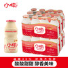 小样 减糖乳酸菌 100g*12瓶