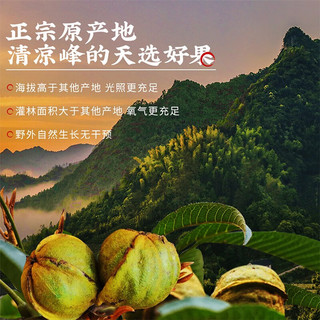 春江月山核桃仁2025年货野生临安独立小包装年货坚果礼盒装零食 临安独立小包装*2斤装/箱