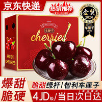 皇金蜜 智利进口车厘子 1斤 XL单果24-26mm 高端礼盒