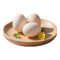  京喜加 谷物蛋 无抗鸡蛋