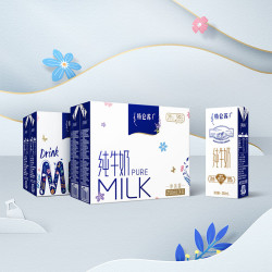 特仑苏 纯牛奶250ml*6盒 3.6g乳蛋白