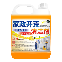 扬星 开荒保洁清洁剂乳胶漆清洗新房装修残留瓷砖去除工具套装