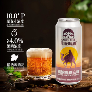 骆驼啤酒 精酿 青稞啤酒