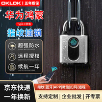 奥克龙 OKLOCK GS40 智能指纹密码挂锁 锌合金 50mm