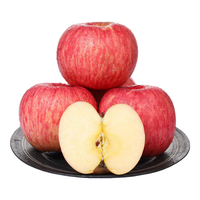 京觅 洛川红富士苹果 12枚单果235g+新鲜水果生鲜脆甜应当季 源头直发 【大果】12枚礼盒 单果280g+