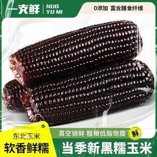一支鲜东北糯玉米甜玉米真空装新鲜采摘鲜甜粘苞米低脂早餐10棒