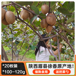 陕西眉县徐香猕猴桃正宗绿心水果新鲜整箱应当季弥猴桃奇异果包邮