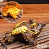 景盏 茶宠摆件可养变色金蟾