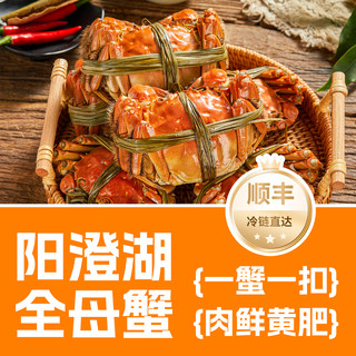 活蟹阳澄湖大闸蟹全母蟹3.5两新鲜特大鲜活螃蟹官方旗舰店礼盒装