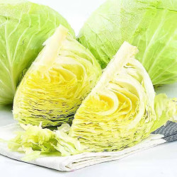 新鲜卷心菜绿甘蓝 5斤