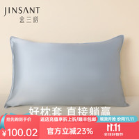 金三塔真丝枕套100%桑蚕丝简约纯色便携旅行枕套 天蓝色 单只 74cm*48cm