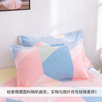 恬梦家纺老粗布枕套 枕头套一对装 成人48x74cm纯棉加厚单人枕用