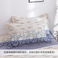 恬梦家纺老粗布枕套 枕头套一对装 成人48x74cm纯棉加厚单人枕用